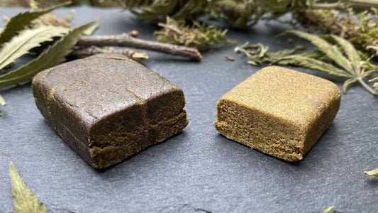 Hash Curing Temperatur: Richtwerte für Frozen, Static und WPFF